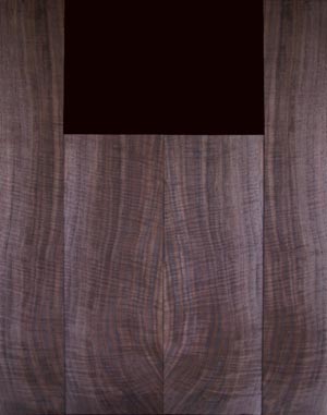 acoustic walnut 6